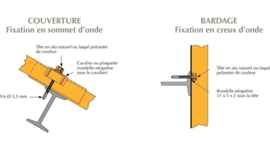 Vis tetalu Bacacier FIC [*** Vis tetalu Bacacier FIC ***]