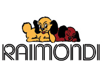 logo-RAIMONDI